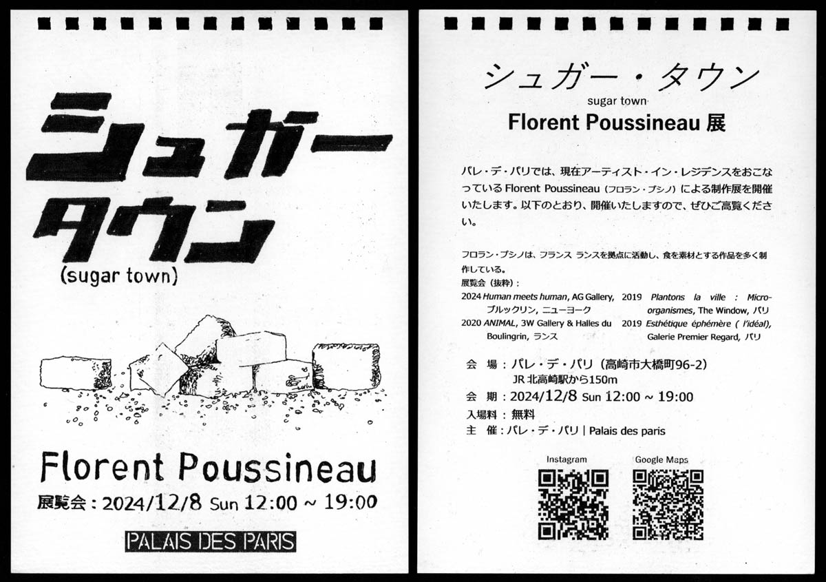 florent-poussineau-flyer